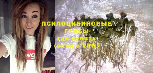 дживик Вяземский